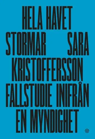 Hela havet stormar : fallstudie inifrån en myndighet