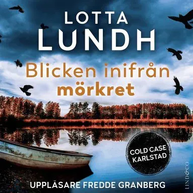 Blicken inifrån mörkret av Lotta Lundh