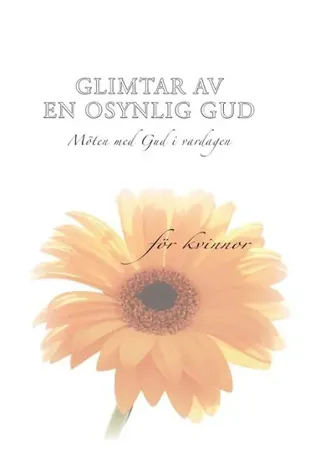 Glimtar av en osynlig Gud : möten med Gud i vardagen : för kvinnor