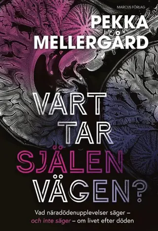 Vart tar själen vägen? : Vad näradödenupplevelser säger - och inte säger - om livet efter döden