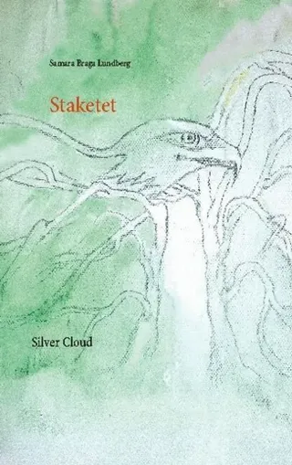 Staketet: SilverCloud