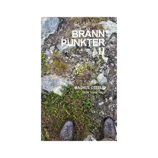 Brännpunkter II : noveller