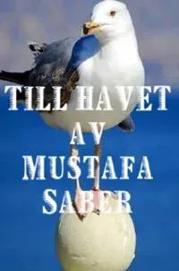 Till havet