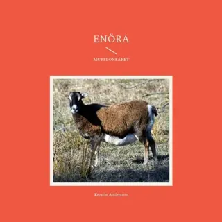 Enöra - I Fårhagen