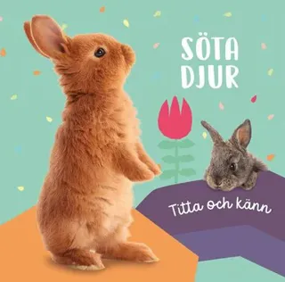 Titta och känn. Söta djur