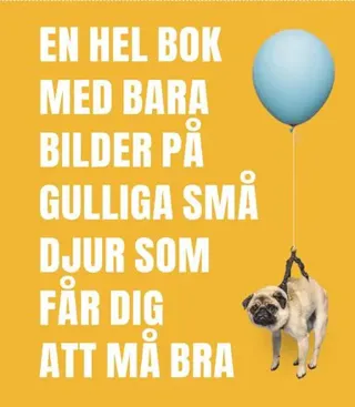 En hel bok med bara bilder på gulliga små djur som får dig a