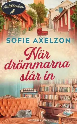 När drömmarna slår in