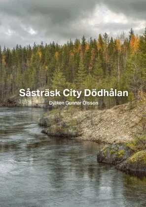 Såsträsk City Dödhålan