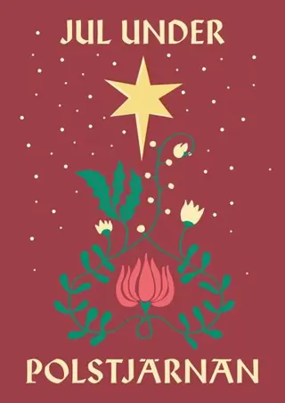 Jul under polstjärnan