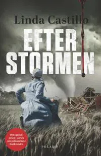 Efter stormen