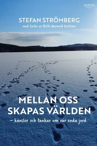 Mellan oss skapas världen : känslor och tankar om vår enda jord