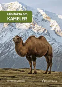Minifakta om kameler