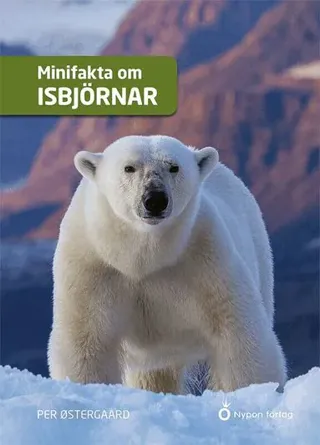 Minifakta om isbjörnar