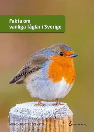 Fakta om vanliga fåglar i Sverige
