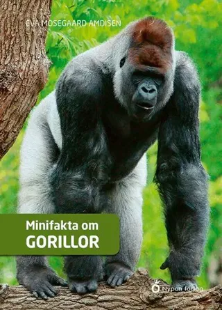 Minifakta om gorillor