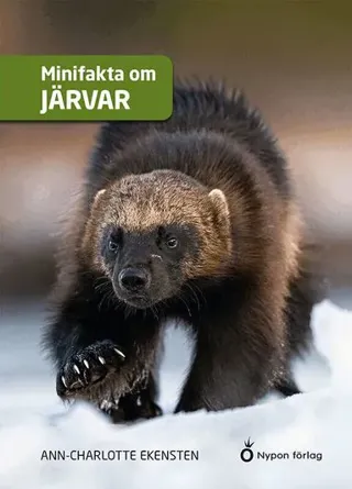 Minifakta om järvar