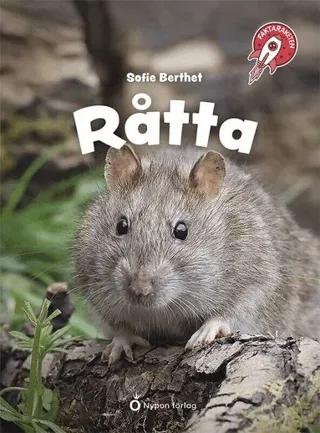 Råtta
