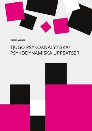 Tjugo psykoanalytiska / psykodynamiska uppsatser : en 40-årig personlig yrkesresa från Freud till relationell psykoanalys / psykoterapi