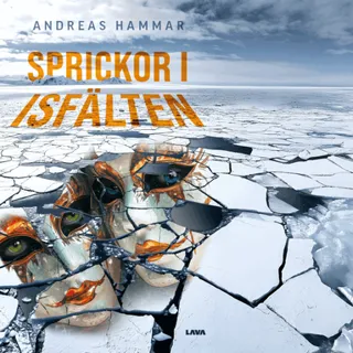 Sprickor i isfälten