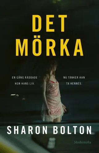 Det mörka