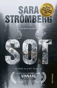 Sot