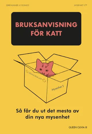 Bruksanvisning för katt : så får du ut det mesta av din nya mysenhet