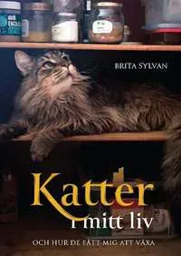 Katter i mitt liv och hur de fått mig att växa