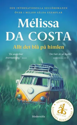 Allt Det Blå På Himlen (Bok / Pocket)