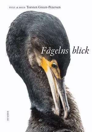 Fågelns blick