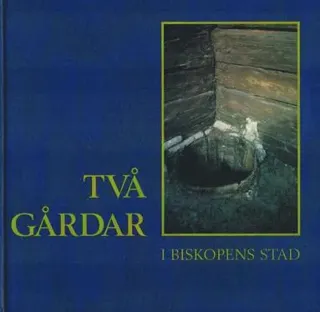 Två gårdar i biskopens stad : om den arkeologiska undersökningen i kvarteret Brevduvan, Linköping 1987 och 1989