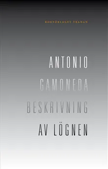 Beskrivning av lögnen