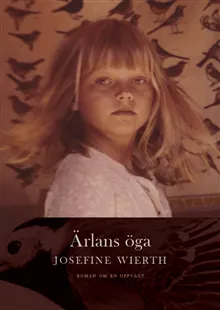 Ärlans öga : roman om en uppväxt