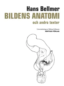 Bildens anatomi : och andra texter