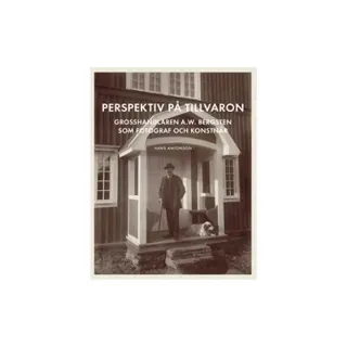 Perspektiv på tillvaron : Grosshandlaren A.W. Bergsten som fotograf och konstnär