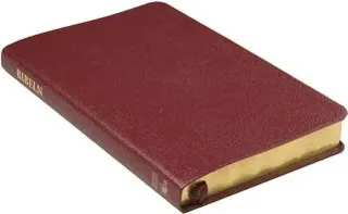 Svenska Folkbibeln 2015, slimline, rött cabraskinn