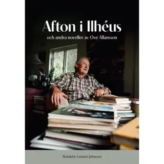 Afton i Ilhéus och andra noveller av Ove Allansson