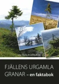 Fjällens urgamla granar
