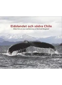 Eldslandet och södra Chile : bilder från en resa med kamera