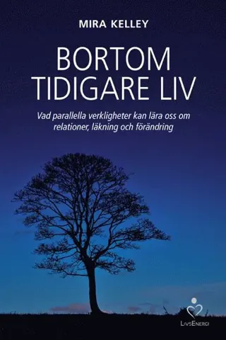 Bortom tidigare liv : vad parallella verkligheter kan lära oss om relationer, läkning och förändring