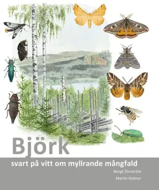 Björk : svart på vitt om myllrande mångfald