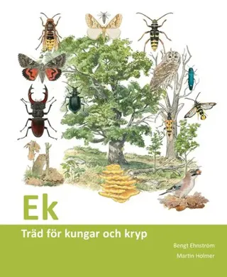 Ek : träd för kungar och kryp