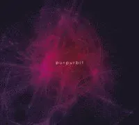 Purpurbit