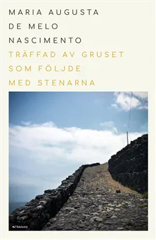 Träffad av gruset som följde med stenarna