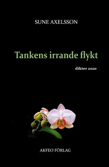 Tankens irrande flykt
