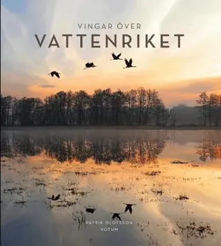 Vingar över Vattenriket