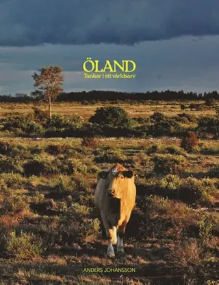 Öland, tankar i ett världsarv