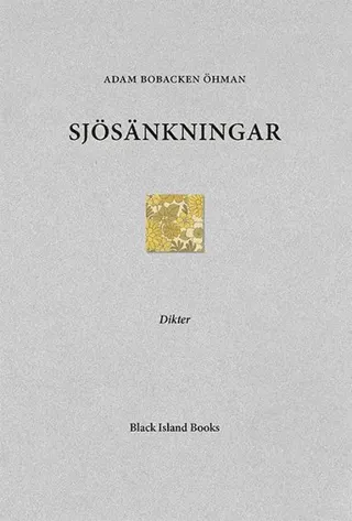 Sjösänkningar