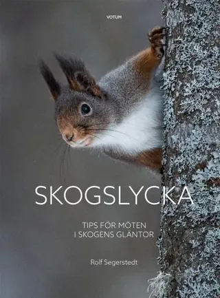 Skogslycka : Tips för möten i skogens gläntor