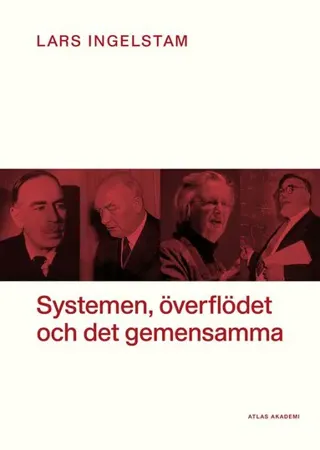 Systemen, överflödet och det gemensamma