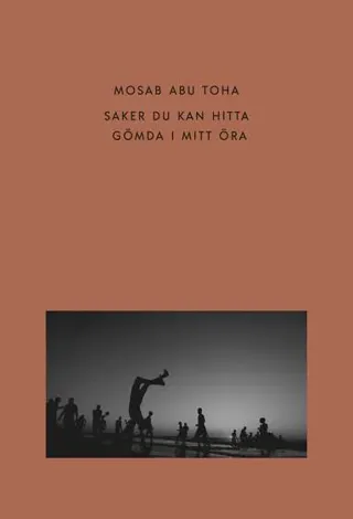 Saker du kan hitta gömda i mitt öra